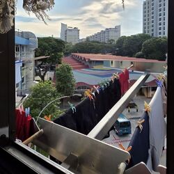 Blk 509 Bedok North Street 3 (Bedok), HDB 3 Rooms #555451001